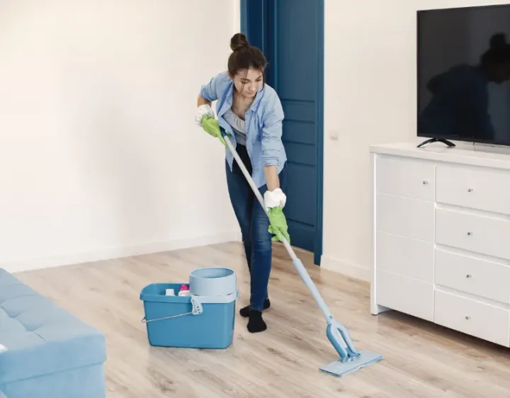 Femme de ménage Faissault